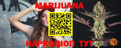 мяу мяу мука Аргун