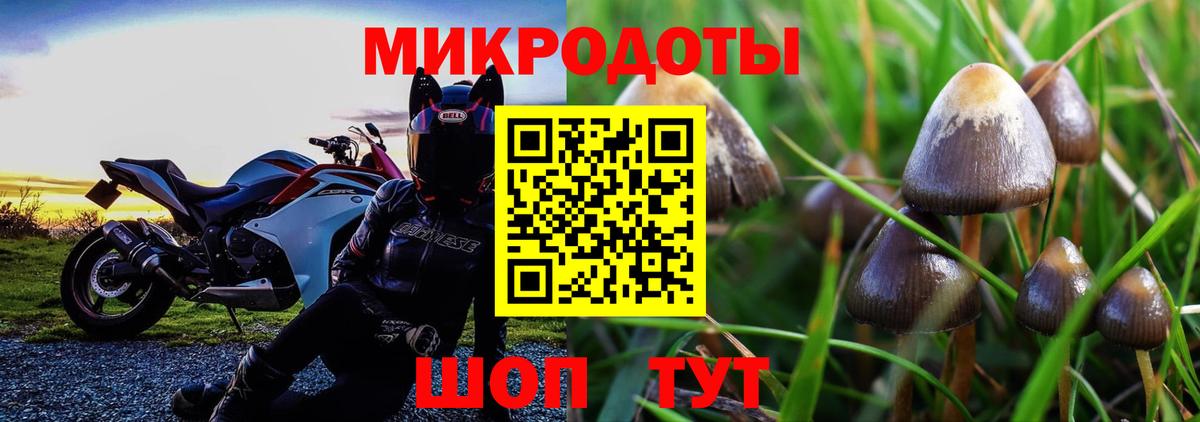 Галлюциногенные грибы прущие грибы  Вход с VPN  Благодарный 