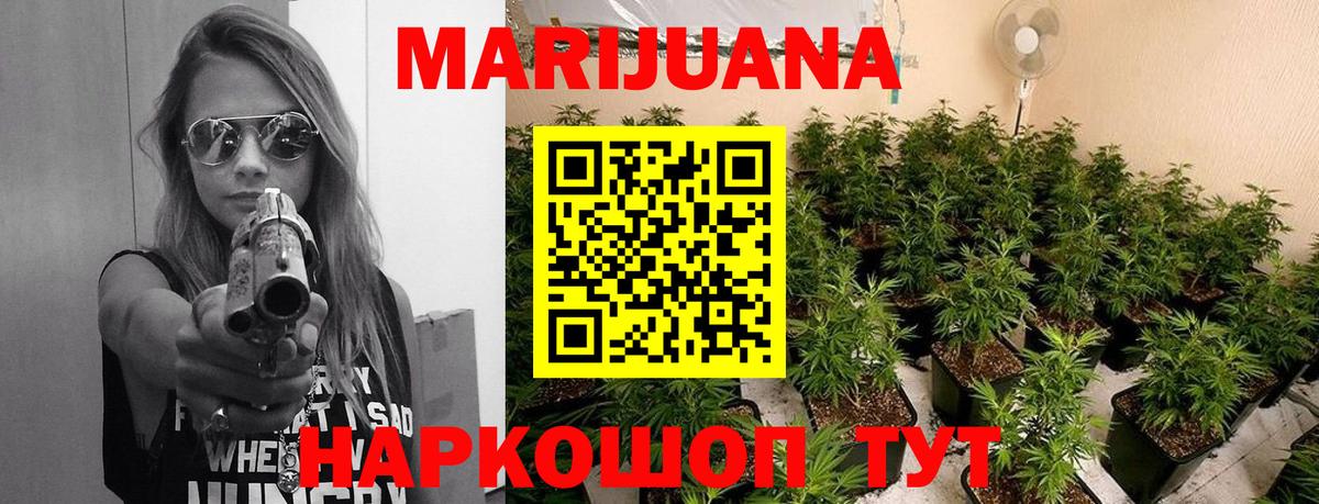 Бошки марихуана план Благодарный